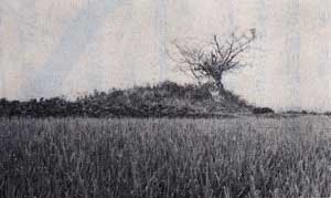 以前の塚越古墳